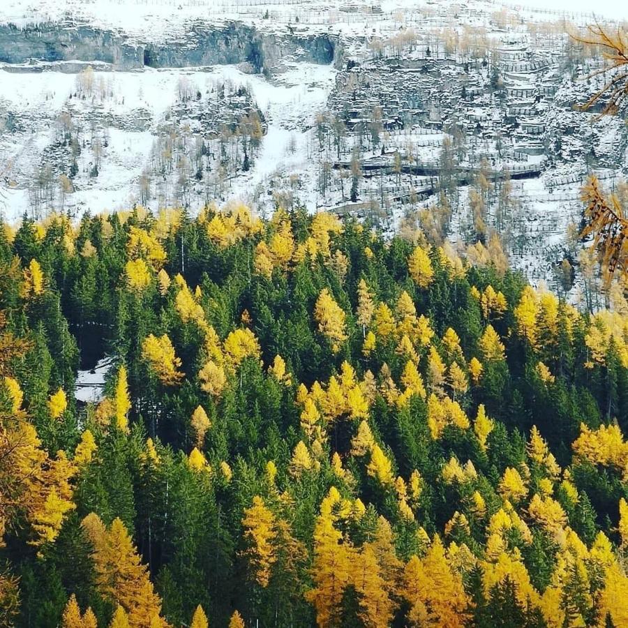 Hotel Regina Terme Leukerbad Bagian luar foto